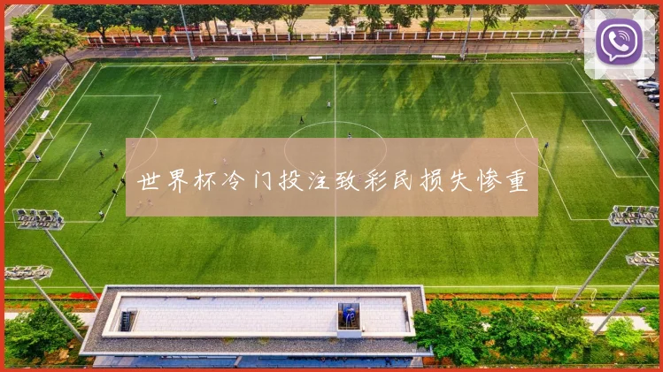 世界杯冷门投注致彩民损失惨重